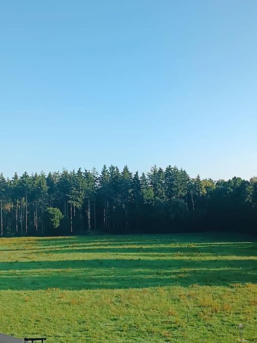 Gemuetliches Appartement Im Kottenforst Naehe Bonn Meckenheim  Eksteriør bilde